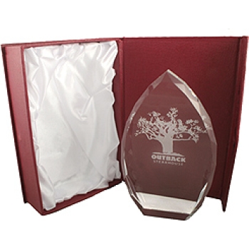 Awards and Plaques
