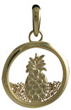 MJ5_pineapple