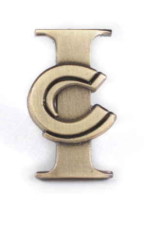 new one year gold tone
